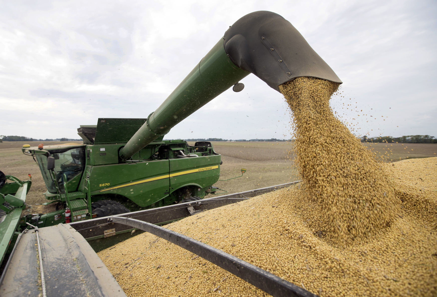 Trump Trade Soybeans